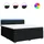 vidaXL Boxspringbett 180 x 200 cm Schwarz
