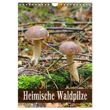 Calvendo Heimische Waldpilze (Wandkalender 2026 DIN A4 hoch), CALVENDO Monatskalender