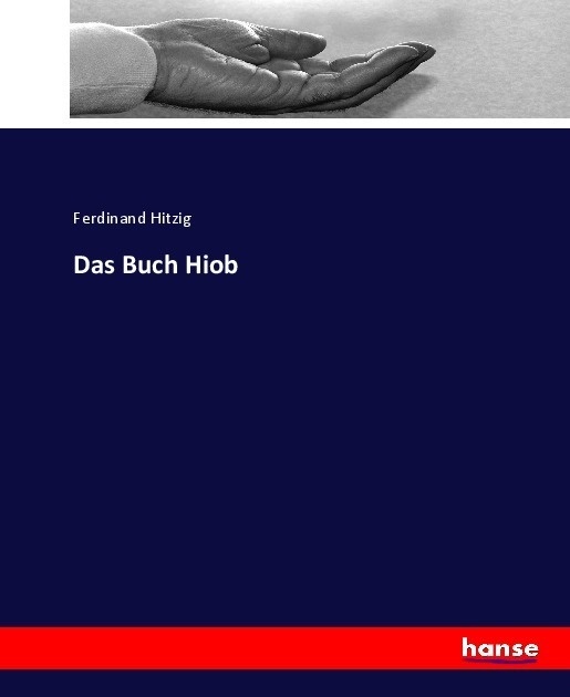 Das Buch Hiob - Ferdinand Hitzig  Kartoniert (TB)