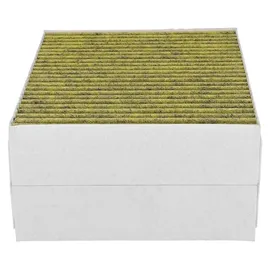 BSH CleanAir Plus Kohlefilter 230x190mm