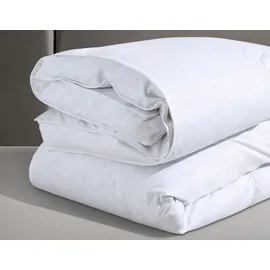RIBECO "Emily", silberweiß 135x200 cm weiß extrawarm (53249)