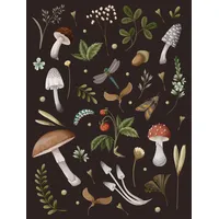 Quarto Publishing Group Mushroom Lined Journal