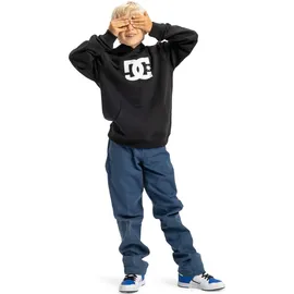 DC Shoes Hoodie Black 170