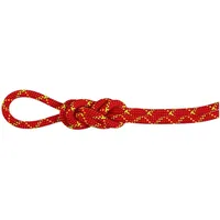 Mammut Alpine Core Protect Dry 8 Mm Seil - Fire / Halo - 40 m