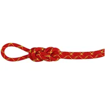 Mammut Alpine Core Protect Dry 8 Mm Seil - Fire / Halo - 40 m