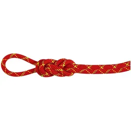 Mammut Alpine Core Protect Dry 8 Mm Seil - Fire / Halo - 40 m