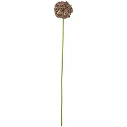 Bloomingville Allium Stiel, Braun, Künstliche Blume, Ø 9xH70 cm