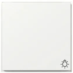 Gira Wippe Symb. Licht 328566