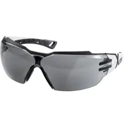 Uvex Komfort-Schutzbrille uvex pheos cx2, Scheibentönung: GREY