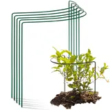 Novatool Strauchstütze halbrund 50 x 40 x 15 cm Grün