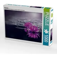 Calvendo Seerosen (Puzzle)