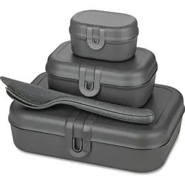 Koziol Pascal Ready Lunchbox-Set grau 4-teilig