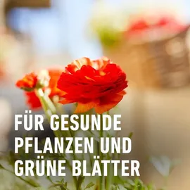 Compo Balkon- und Kübelpflanzendünger 2,5 l
