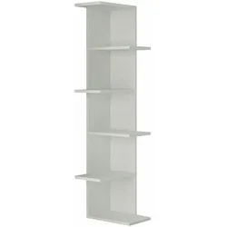 Dmora Bücherregal Dlunett, Büroregal, Mobiler Buchhalter, Bücherbrett, 37x24h141 cm, Weiß