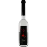 Ingwergeist 0,5 l | feinwürziger Edelbrand | Spirituosen-Spezialität