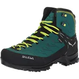 Shaded Spruce/Sulphur Spring 36,5