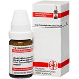 DHU-ARZNEIMITTEL Streptococcinum C1000