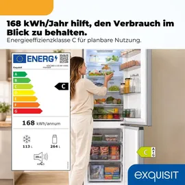 Exquisit KGC380-115-NF-040C Kühl-Gefrierkombination (379 l, 2005 mm hoch, Inoxlook)