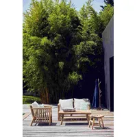 JAN KURTZ Fred Sessel 72 x 80 x 75 cm beige