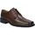 Josef Seibel Elliot 01 Herren Braun 41