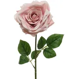 Kaemingk Künstliche Rose mit Stiel 15x53cm - Kunstblumen Seidenblumen Dekoblumen Blumendeko Stielblumen Blumen Deko Hochzeit Valentinstag Kunstrose Rosa