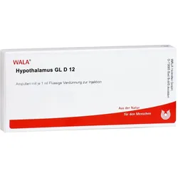Hypothalamus Gl D12