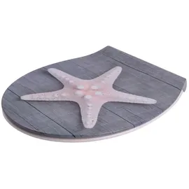 Sanilo Flat Bastia grau