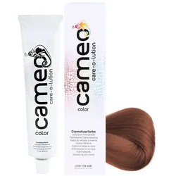 Cameo Color Haarfarbe 6/L7 dunkelblond leicht-braun 60 ml