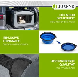 Juskys Sam's Pet Lassie