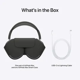 Apple AirPods Max silber