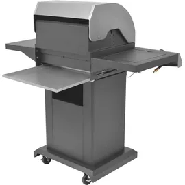 vidaXL Gasgrill BBQ 2+1 schwarz/silber