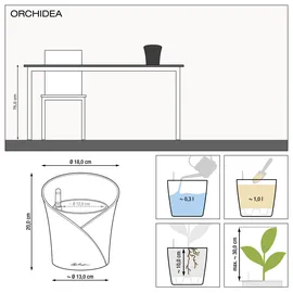 LECHUZA Orchidea Taupe matt 13965