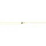 FIRETTI Fußkette FIRETTI "Schmuck Geschenk Gold 333 / 585 Körperschmuck Panzerkette diamantiert" Gr. 25, gold (gelbgoldfarben), Fußketten, Damen, 25, Gelbgold 585, Made in Germany