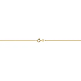 FIRETTI Fußkette FIRETTI "Schmuck Geschenk Gold 333 / 585 Körperschmuck Panzerkette diamantiert" Gr. 25, gold (gelbgoldfarben), Fußketten, Damen, 25, Gelbgold 333, Made in Germany