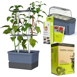 Gusta Garden Chili-Starter-Set 5-teilig blau