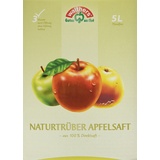 Walthers Apfelsaft Direktsaft natur (1 x 5 l Saftbox)