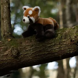 Animigos World of Nature Red Panda