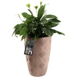 KADAX Blumentopf mit Einsatz und Griffen, aus Kunststoff, 58.5 cm, beige