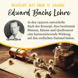 Klosterfrau Bachblüten Murnauers Konzentrier Dich Globulini 10 g