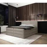 Roller Boxspringbett - creme - H2/H3 - inklusive Topper - 160x200 cm