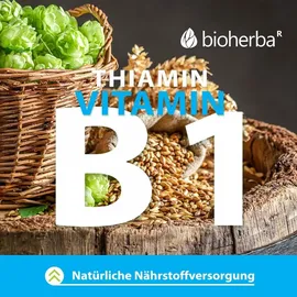 Bioherba Knoblauch Kapseln 260 mg 100 St.