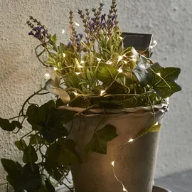 StarTrading STAR Trading Solar Lichterkette Dew Drop 50 LEDs, Batterie)