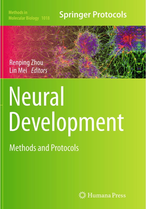 Neural Development, Kartoniert (TB)