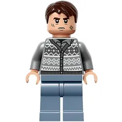 LEGO® - Harry Potter - hp425 - Neville Longbottom (76415)