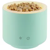 Taoasis Baldini Aromastream Wood mini Mint