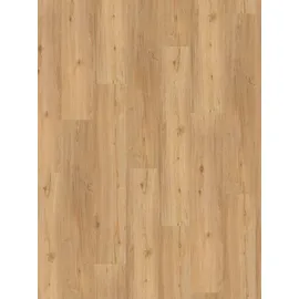 Parador Vinyl Basic 5.3 Eiche natur