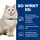 Hill's Prescription Diet c/d Urinary Care mit Huhn und Gemüse 24x82g