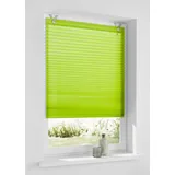 Heine Plisseerollo HEINE HOME Gr. 3, grün, B:60cm H:125cm, Raffrollos
