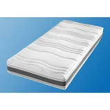 fan Punktoflex De Luxe KS 90 x 200 cm H3