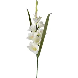 Kunstblume GLADIOLUS